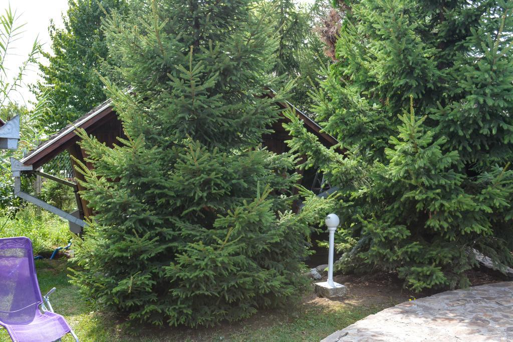 Camping Robinson Country Club オラデア エクステリア 写真