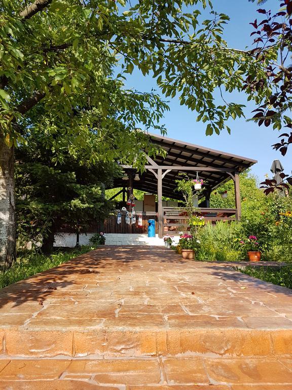 Camping Robinson Country Club オラデア エクステリア 写真